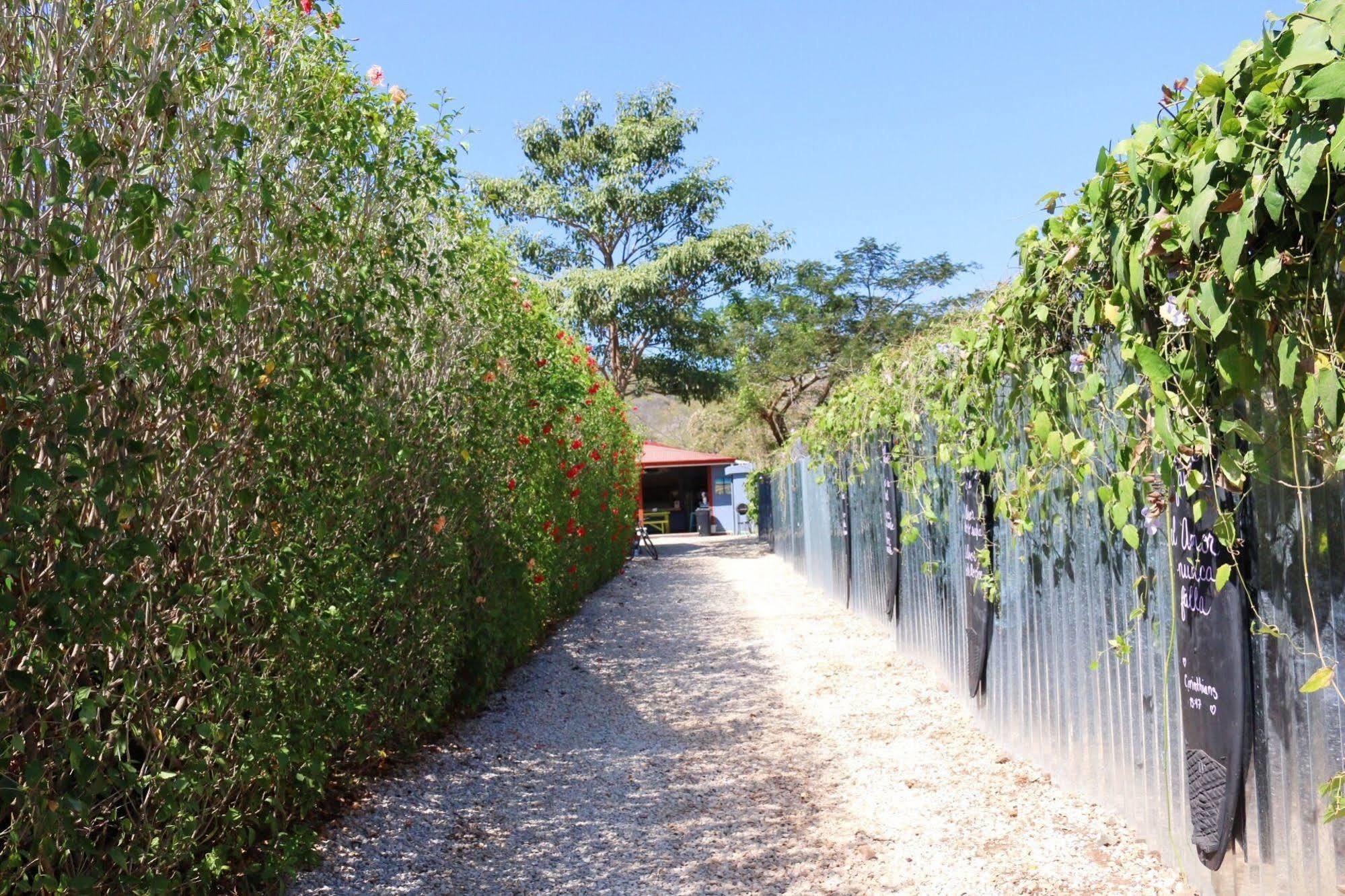 Sirena Serena B&B And Retreat Tamarindo Exterior photo